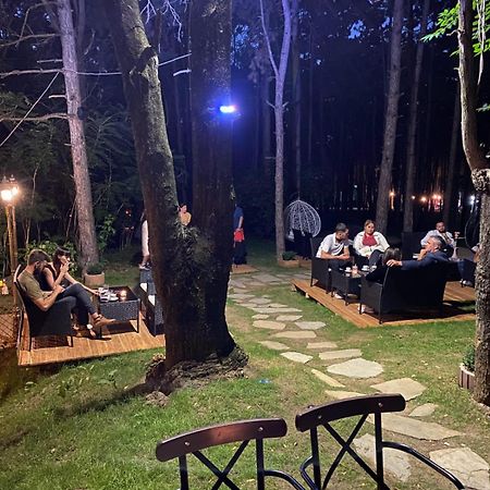 פרישטינה Hotel Gloria Ks מראה חיצוני תמונה